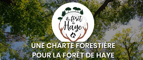Charte forestière pour le massif de Haye