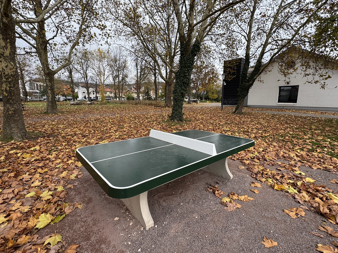 Image média: 🏓 Table de ping-pong parc Maringer